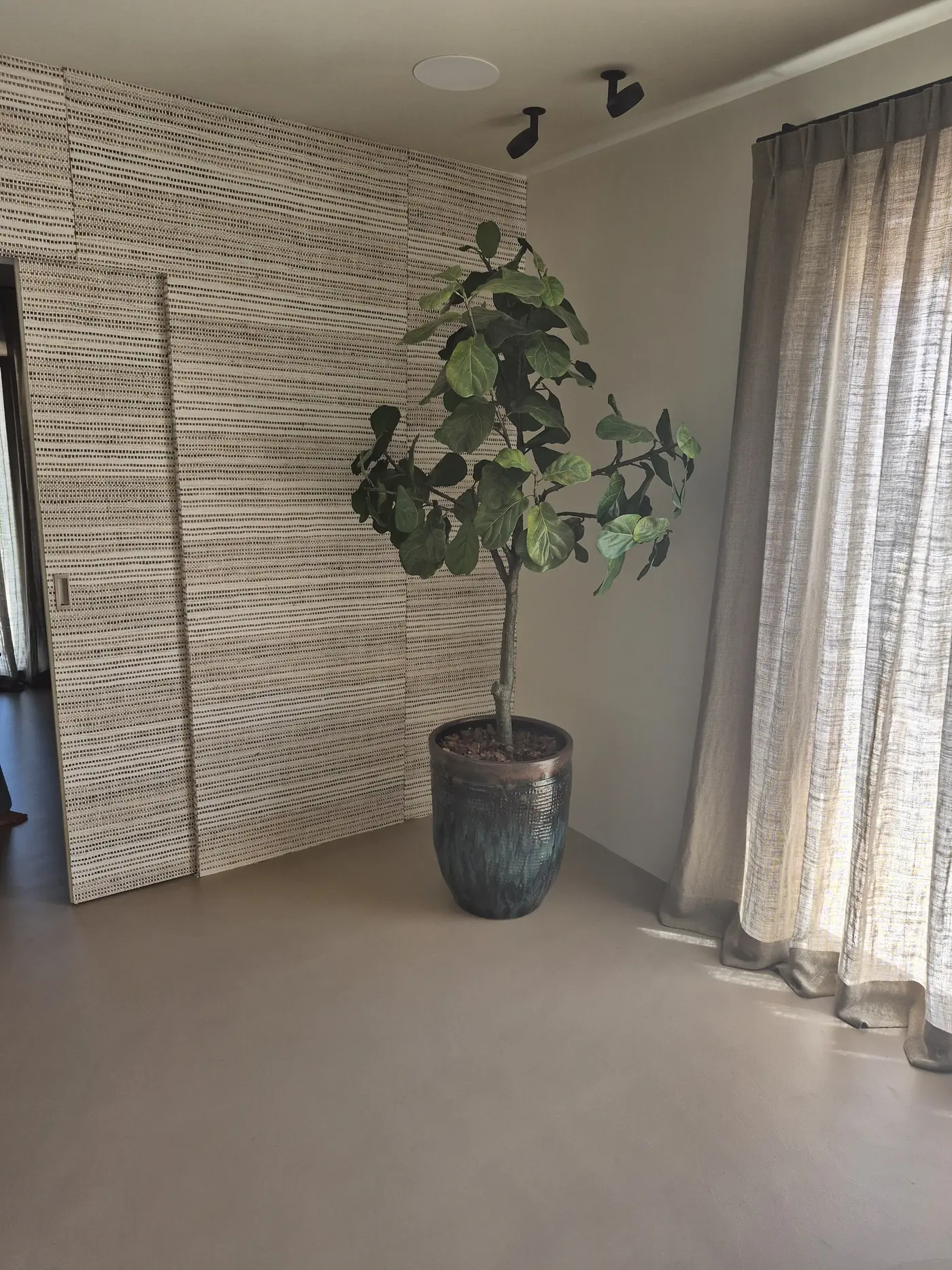 Paneles correderos de fibra tejida junto a ficus y cortina de lino — La Cumbre